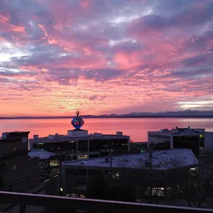 Floor Water View Oasis Near Space Needle & Cruise Apartment Seattle